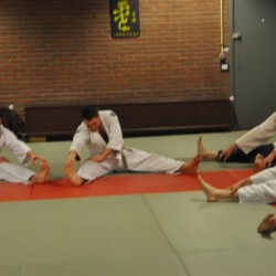 DSC 0143  Medium - Judoclub Zaventem 